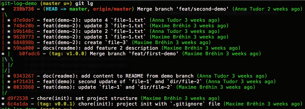 Graph-based log with mono-line commits and useful data (author, date, branches and tags, HEAD)