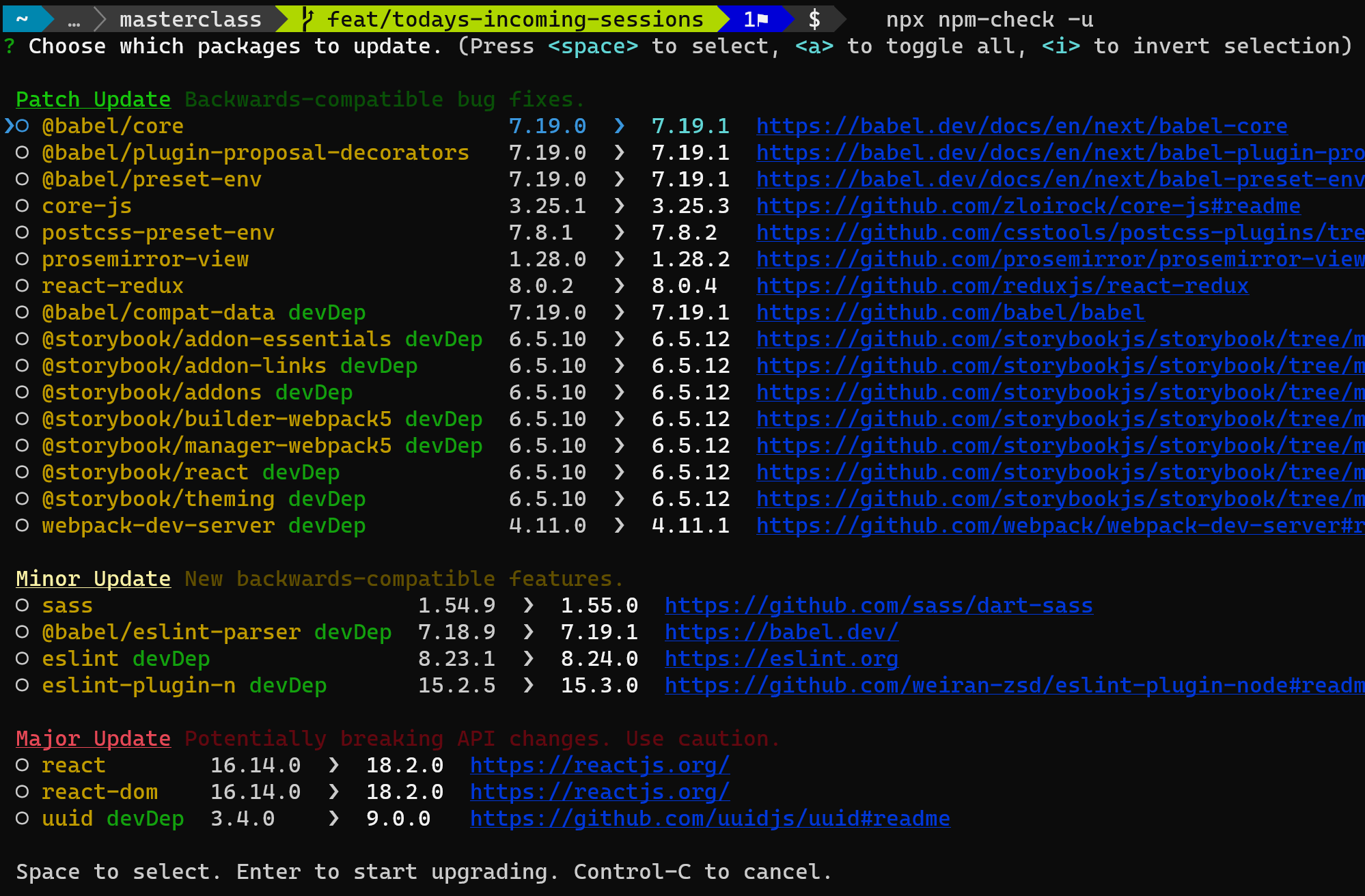 Initial display of npm-check -u